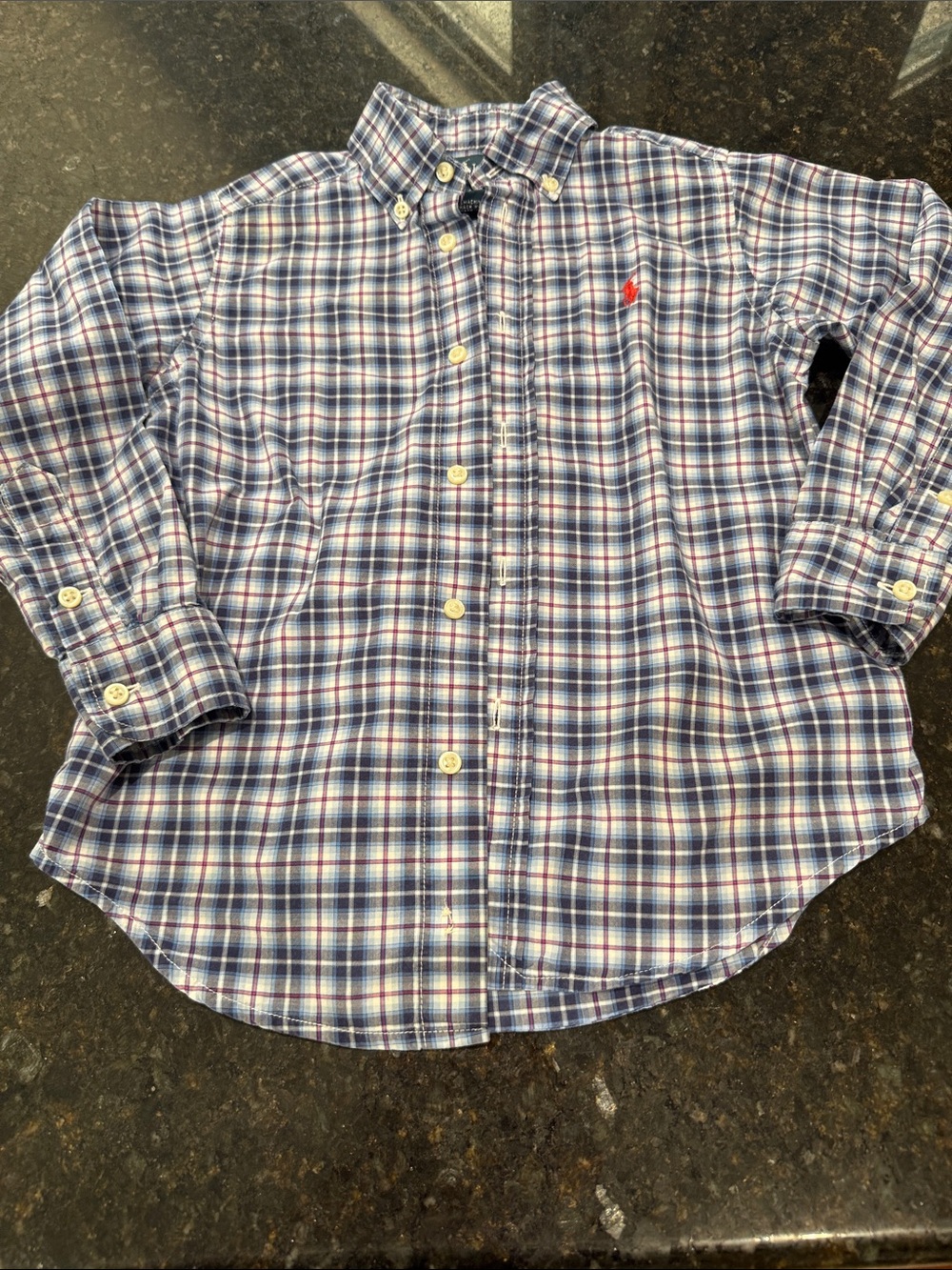 Polo by Ralph Lauren Blue and White Plaid Button-Down Shirt